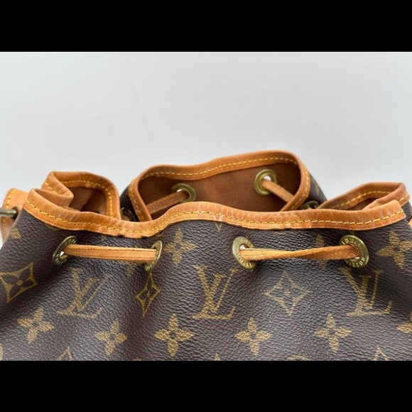 Petit Noe - Picture 5 of 10